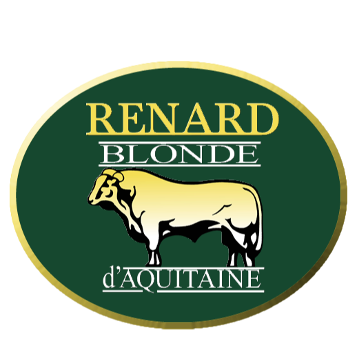Renard Blondes
