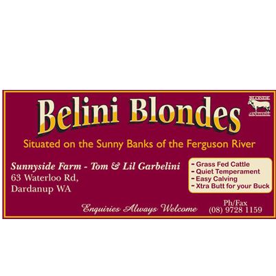 Belini Blondes