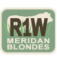 Meridan Blondes
